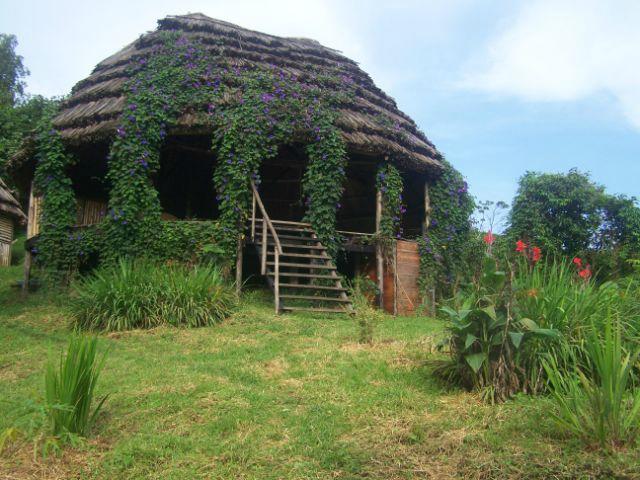 cuckooland lodge