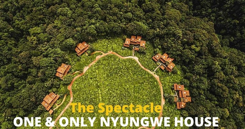 One &only Nyungwe House