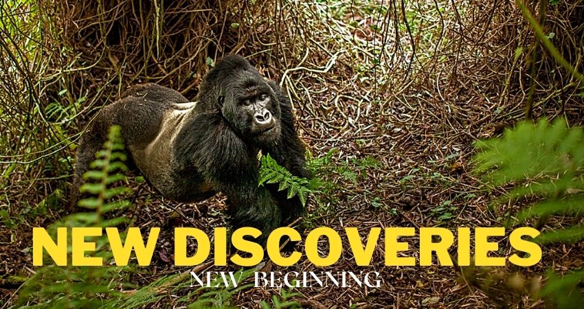 New Discoveries In Rwanda