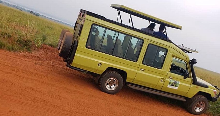 Flexibility & Assurance On Your Rwanda Safari