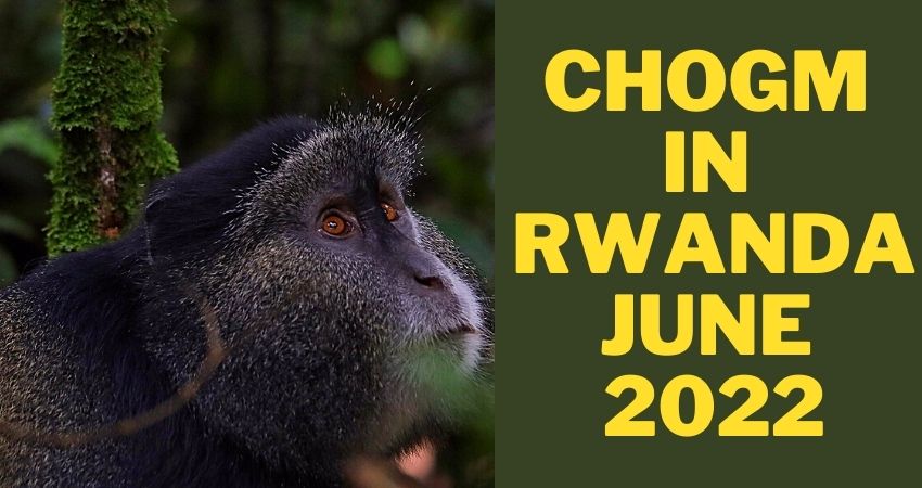 CHOGM in Rwanda, CHOGM in Rwanda June 2022