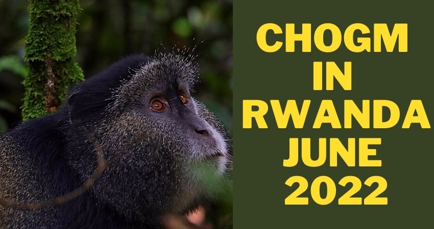 CHOGM In Rwanda