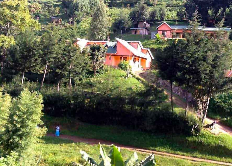 Gift of nature lodge, where to stay in Bwindi Forest national park