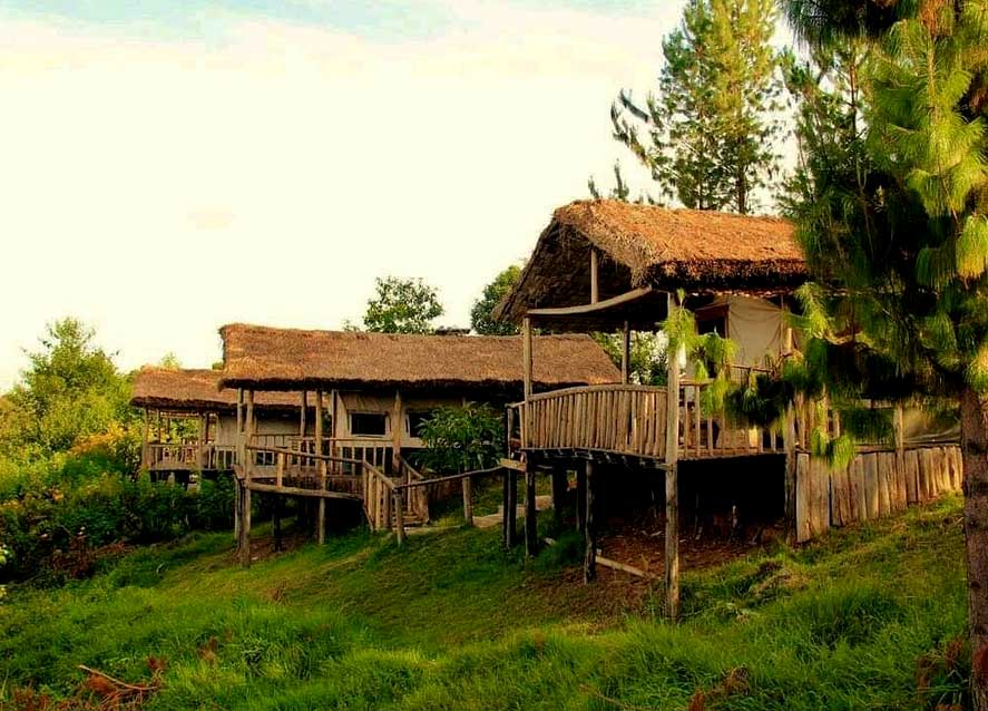 Gorilla Mist Camp, prime accommodation in Bwindi Forest park