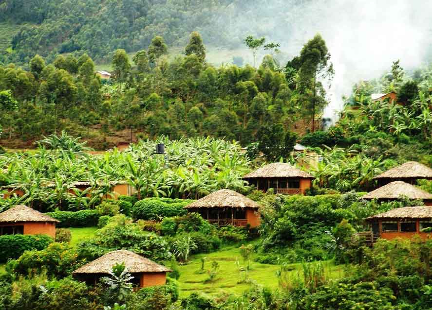 Gorilla Resort, Gorilla Resort Camp in Buhoma Bwindi Forest Park