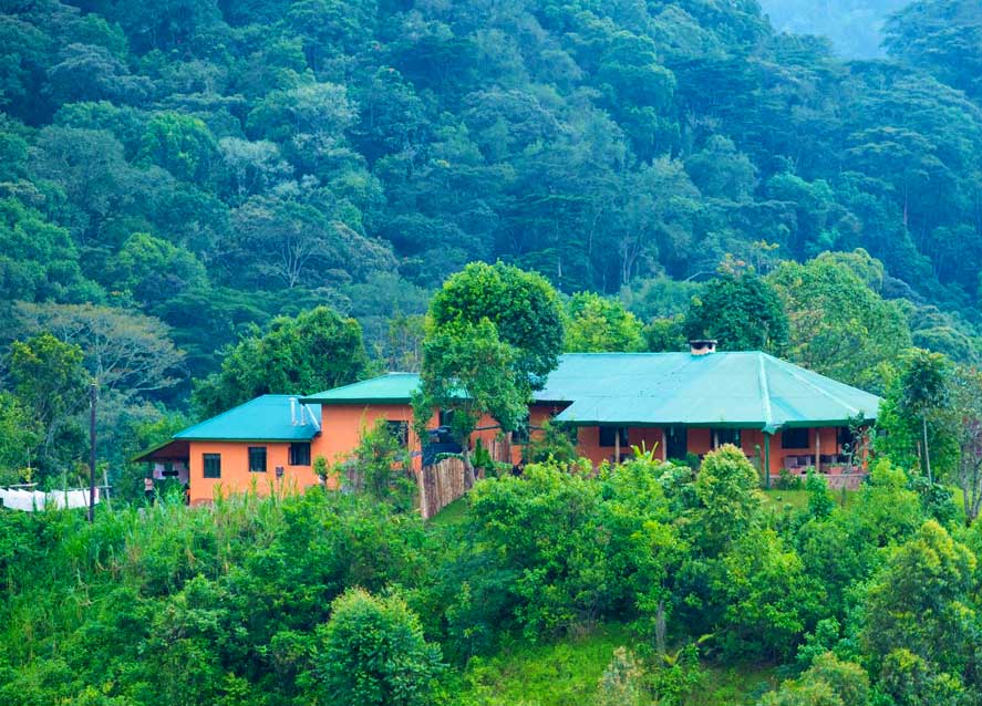 Gorilla Valley Lodge, Bwindi Impenetrable Forest National Park