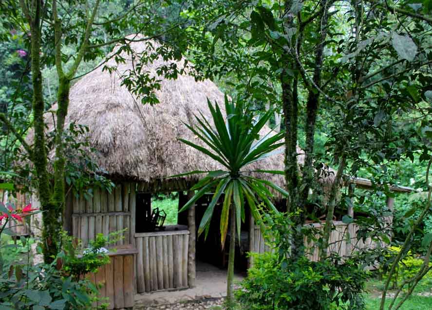 Nshongi camp, lodge in Bwindi impenetrable forest national park