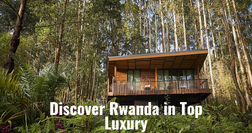 The Most Luxurious Rwanda Safari 2023