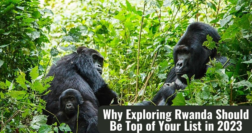 Exploring Rwanda