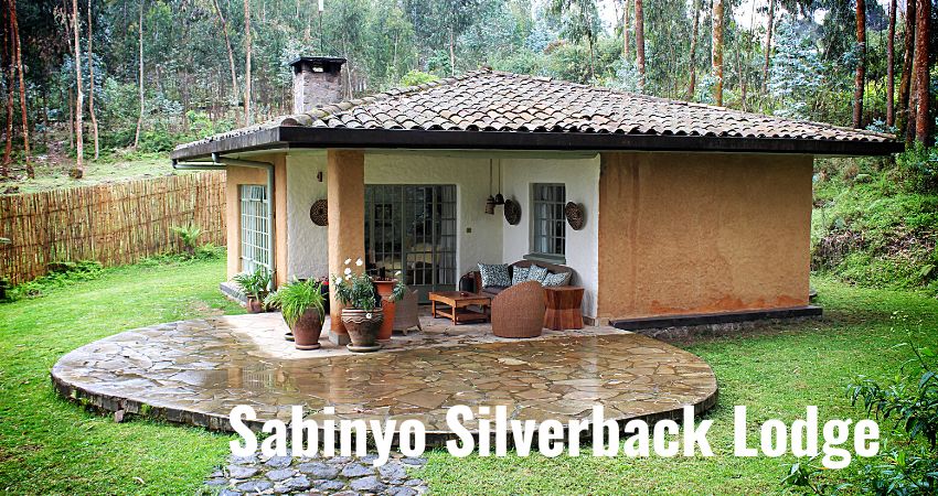 Staying At Sabinyo Silverback Lodge In Rwanda