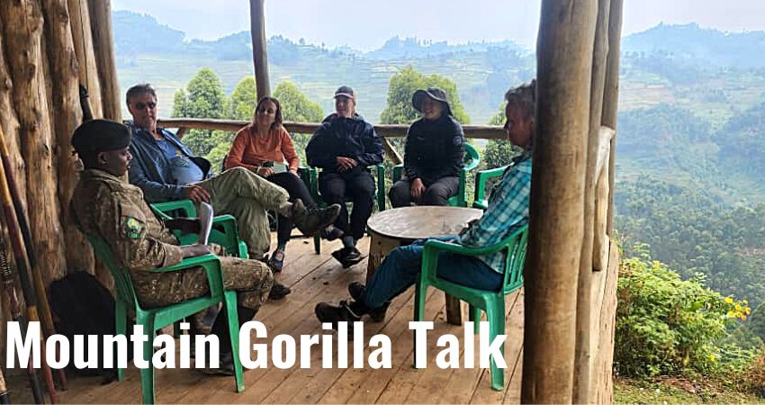 Know Everything About Mountain Gorillas Before Your Trek