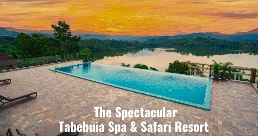 The Luxurious Tabebuia Spa & Safari Resort