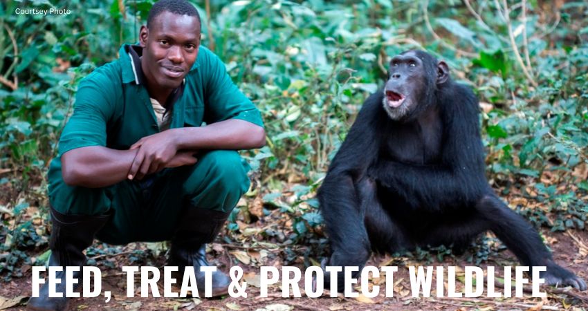 Join Our Wildlife Conservation Efforts And Volunteer Program